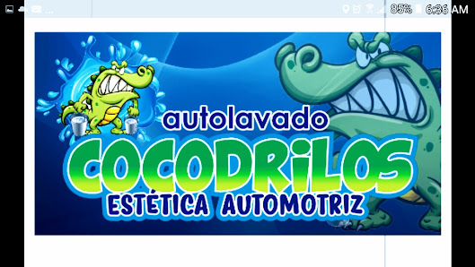 Estética Automotriz Cocodrilo's